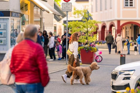 Street scene in a busy town with people walking and a dog on a lead, Nagold, Black Forest, Germany