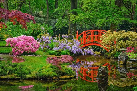 Small bridge in Japanese garden, Park Clingendael, The Hague, Netherlands