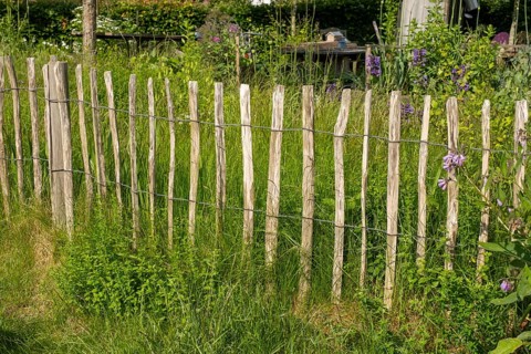 Picket fence in the park at the mill, Wyk, Föhr, North Sea island, North Frisia,