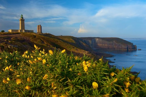 Coastal landscape with cliffs and sea, a lighthouse at Cap Frehel, gorse in the foreground, Cap