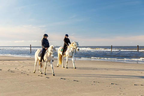 2 riders on a grey horse on the north beach of Norderney, Lower Saxony, Germany