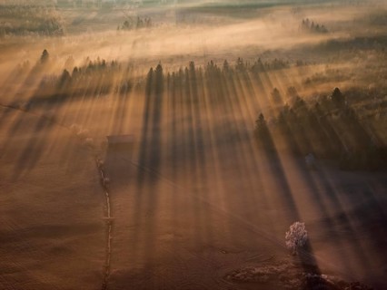 Sunrise, fog, hoarfrost, forest, winter, backlight, aerial view, Loisach-Lake Kochel-Moor, Alpine