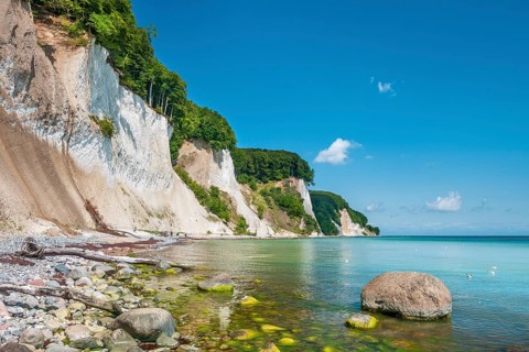 Keide coast with large stones and algae in the water of the Baltic Sea, driftwood, tree trunks on