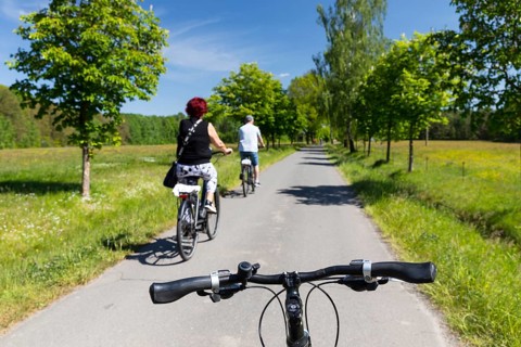 Cycling through meadows and forests in Lusatia, here near Kromlau, district of Görlitz, Saxony,