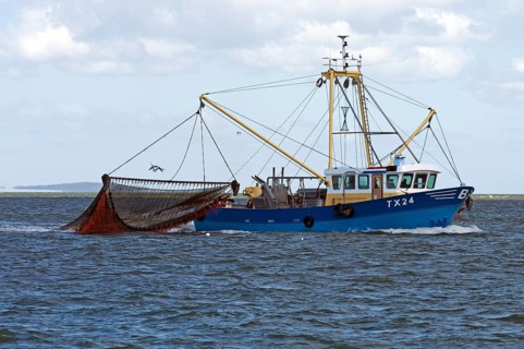 Trawler with dragnet fishing at sea, Texel, the Netherlands