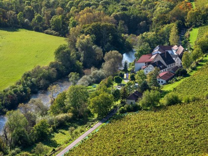 View of the state winery Kloster Pforta on the Saale with vineyard, Naumburg, Saxony-Anhalt,
