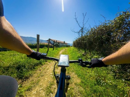 First person view of cyclist navigating a sunny trail with a smartphone mounted on the handlebars,