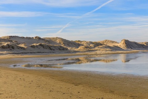 Groundwater forms small ponds in the dune landscape in Norderney, Lower Saxony, Germany
