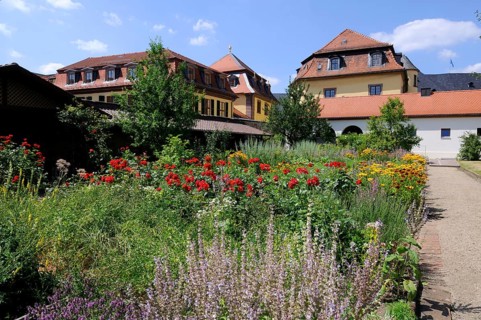 Monastery garden, Fulda Monastery, Fula, Hesse, Germany