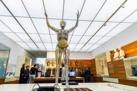 Founded in 1912, the Deutsches Hygiene-Museum is a museum in Dresden. It sees itself as a public