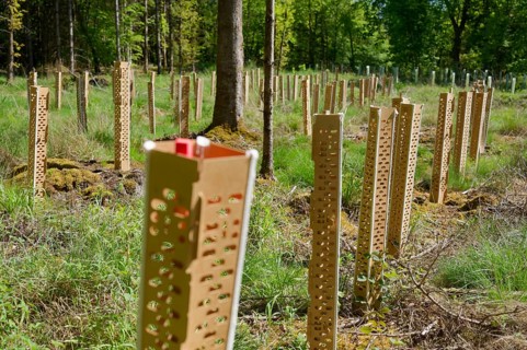 Environmentally friendly growth cover, organic, ecological, microplastic-free, deer, forest