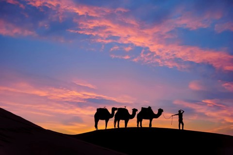 Silhouette of three camels and their handler against the rising sun in the Saharan Desert in