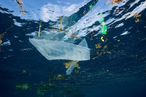 Plastic waste in the sea, Raja Ampat, West Papua, Indonesia
