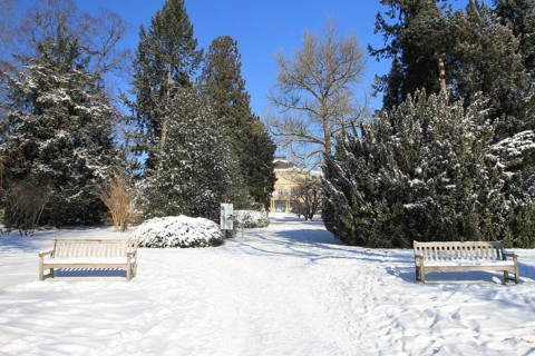 Snow-covered palace garden of Hohenheim Palace, University of Hohenheim, Stuttgart,