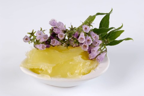(Symphytum officinale), comfrey ointment