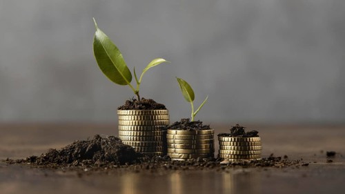 Stacked coins with dirt and plant Picture on, Resolution and high quality beautiful photo