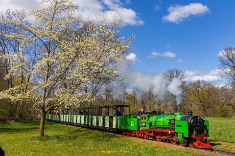 The popular small railway in Dresden's Great Garden has been in operation for 75 years. The steam