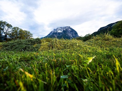 Freshly mown grass, behind the Grimming, near Irdning, Ennstal, Styria, Austria