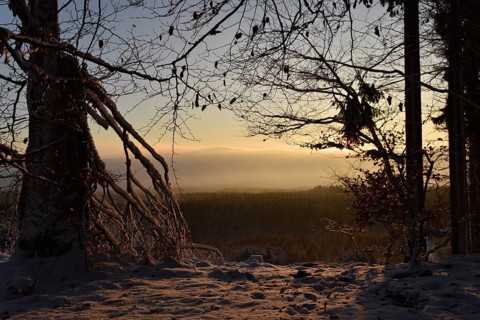 Winter sunrise with snow in the Hunsrück-Hochwald National Park in the area between Wildenburger