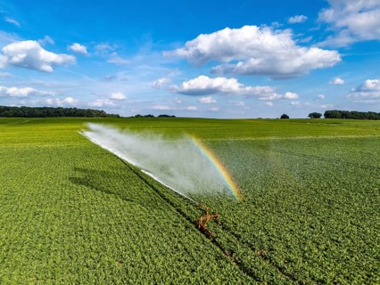 Artificial irrigation with a sprinkler system in a field where sugar beet is grown, near Rheurdt,