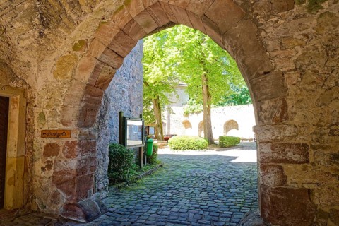 Dringenberg Castle is a medieval hilltop castle in Dringenberg in the district of Höxter. It was