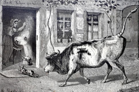Farming, Bull has broken free and charges towards the kitchen, the farmer's wife spills the vat of