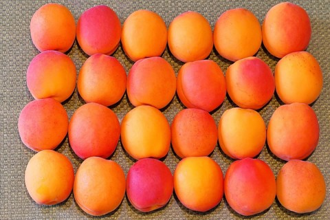 Fresh apricots (Prunus armeniaca) for sale at a fruit and vegetable market, Frauenkirchen,