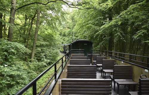 Observation car of the Raging Roland, narrow-gauge railway on Rügen, Mecklenburg-Western Pomerania,
