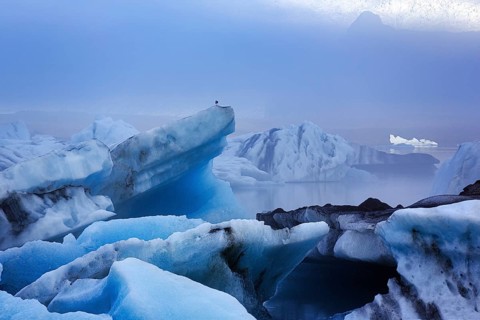 Icebergs in the morning light, Jökulsárlón glacier lagoon, Jökulsarlon, glacial lake, Vatnajökull