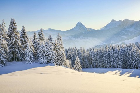 View of Sattelegg with Chöpfenberg in the background, Canton Schwyz, Switzerland