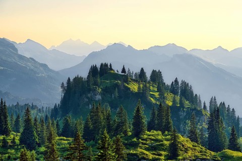 View from the Pragel Pass over the Muota Valley in the evening light, Central Swiss Alps, Canton