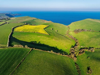 Farms and Fields over Brixham and Kingswear from a drone, Devon, England, United Kingdom