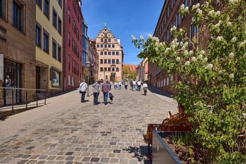 City museum in the Fembo House, historic merchant's house, city museum, flower pot, blossoming