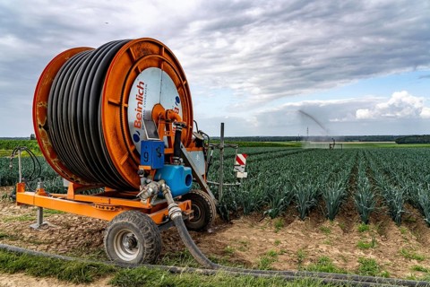 Agriculture, artificial irrigation of a field, sprinkler system, leek, leek, east of Nettetal, on