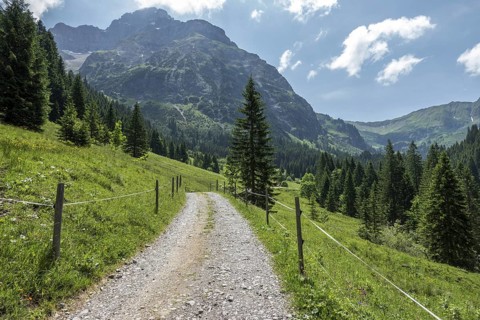 Hiking trail in Bärgunttal, behind Großer Widderstein, near Baad, Kleinwalsertal, Vorarlberg,