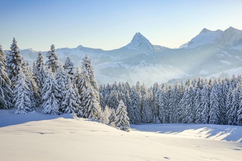 View of Sattelegg with Chöpfenberg in the background, Canton Schwyz, Switzerland