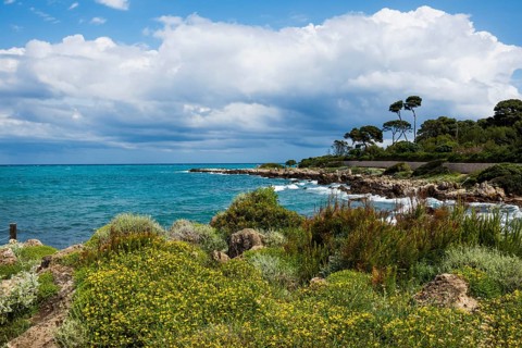 Picturesque wild hiking trail on the coast, Sentier du Littoral, Cap d'Antibes, Antibes, Provence