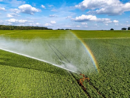 Artificial irrigation with a sprinkler system in a field where sugar beet is grown, near Rheurdt,