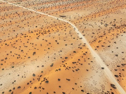 Gravel road in the Kalahari Desert with its linear sand dunes grown with camelthorn trees