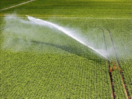 Artificial irrigation with a sprinkler system in a field where sugar beet is grown, near Rheurdt,