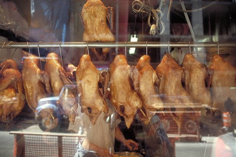 Roast duck in a shop window in China Town, New York City, USA
