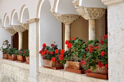 Columns with capitals, ornamental crutch capitals from the 10th and 11th centuries, flower boxes