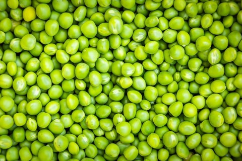 Close-up of fresh green peas (Pisum sativum) lying close together