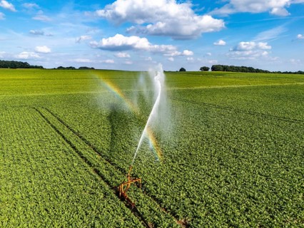 Artificial irrigation with a sprinkler system in a field where sugar beet is grown, near Rheurdt,