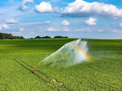 Artificial irrigation with a sprinkler system in a field where sugar beet is grown, near Rheurdt,