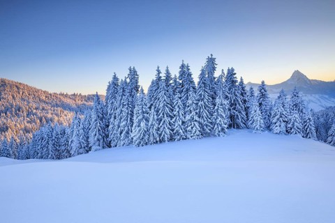 Sunrise on the Sattelegg with Chöpfenberg in the background, Canton Schwyz, Switzerland