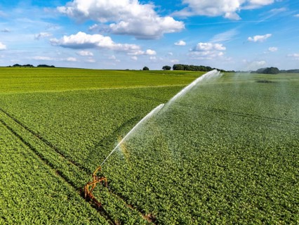 Artificial irrigation with a sprinkler system in a field where sugar beet is grown, near Rheurdt,