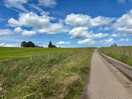 Rural road stretches through green fields flanked by tall grass under a cloudy sky, Aberdeenshire,