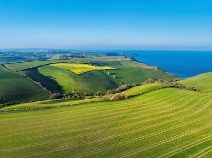 Farms and Fields over Brixham and Kingswear from a drone, Devon, England, United Kingdom