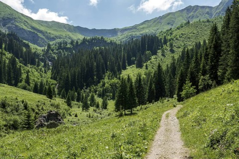 Hiking trail to the Hochalp Pass, Bärgunttal, near Baad, Kleinwalsertal, Allgäu Alps, Vorarlberg,